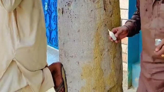 还好这胶水没有连着脚