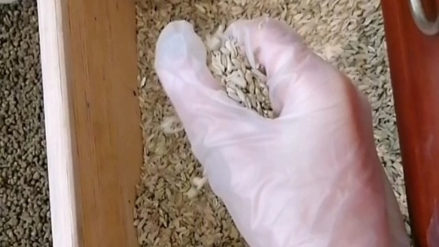 手抖？早发现早治疗早恢复