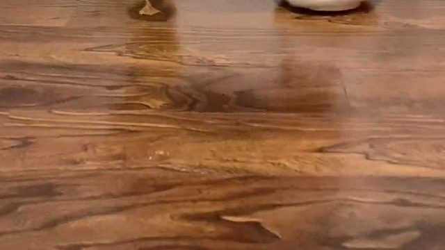 啥也不说了，究竟是错付了