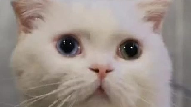 刚成立了一个乐队，你们说叫什么名字好