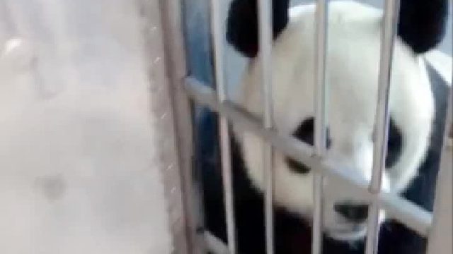 国宝吃播已上线