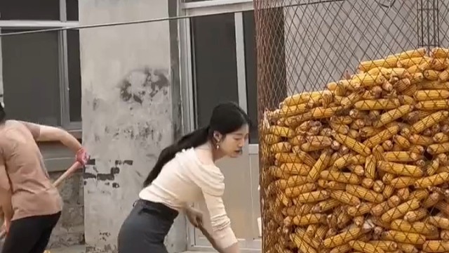 女子帮父母干农活