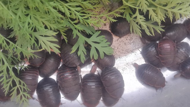 创业养殖欢迎您的到来