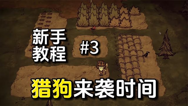 饥荒：建家后应该做的事，完成后食物吃不完，饥荒也能变饱荒