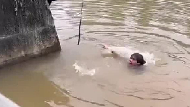 会游泳的吧这……