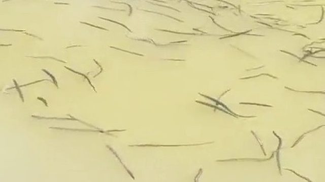 想下去游泳，需要注意什么