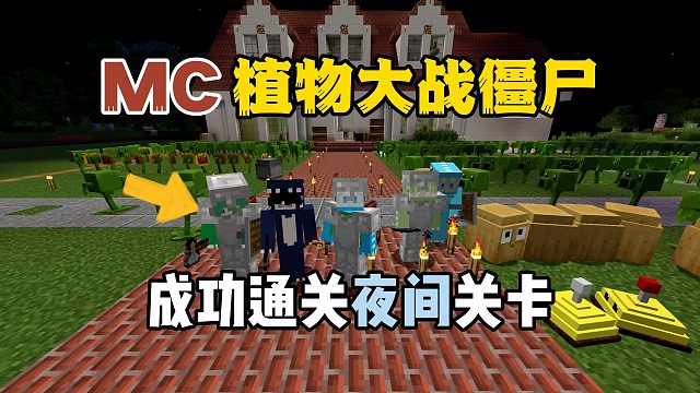 我的世界植物大战僵尸：成功通关夜间关卡！