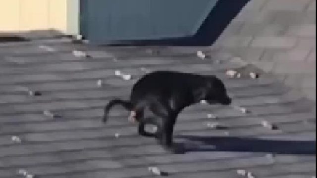 我发布了一个新视频，快来围观吧！