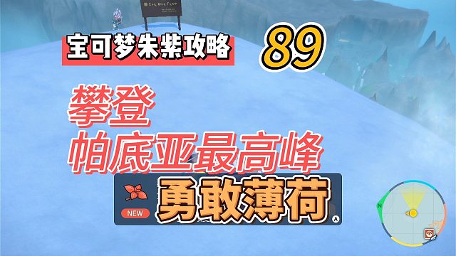 宝可梦紫攻略89：攀登帕底亚最高峰，拿到勇敢薄荷！