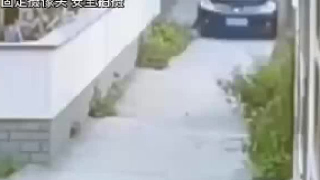 摩托车已经很礼貌了黑车司机为何还这样做?