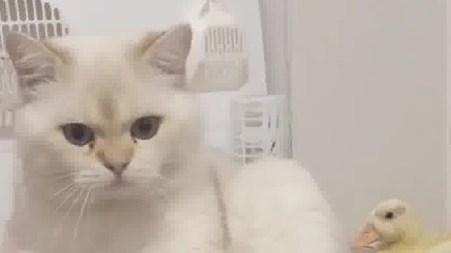 咱就是说这小东西越长越好吃了啊