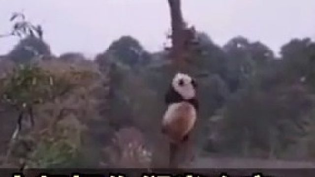 世界上所有人都把你们当做宝，就你俩不把自己当回事…