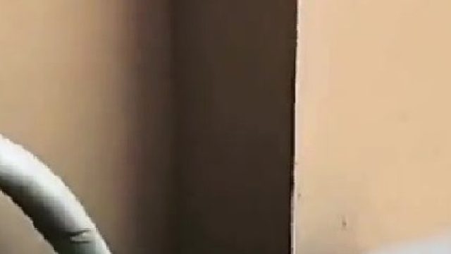 给嫂子喝点雄黄酒吧