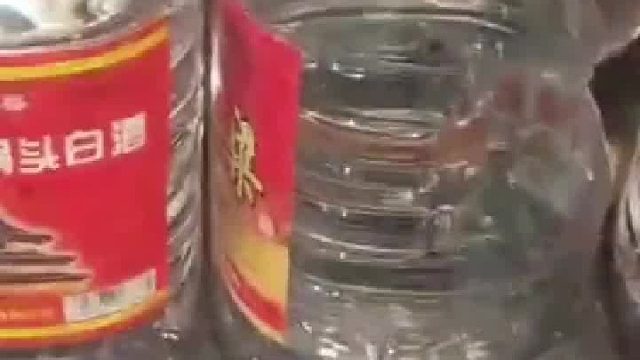 老鼠偷酒喝醉倒在货架上 原来老鼠里也有“酒鬼”