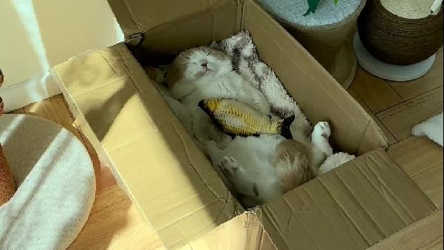 做这个决定我也是考虑了很久