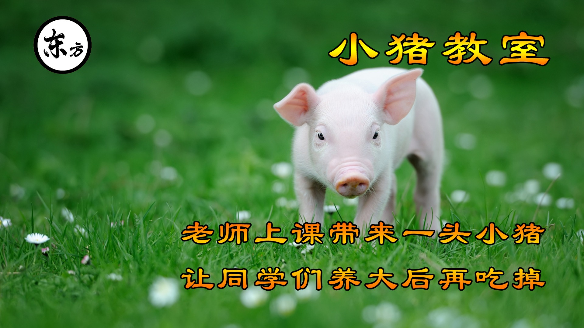 第一外交家 一场艰难的外交