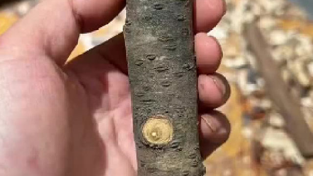 他怎么知道木头里有剑