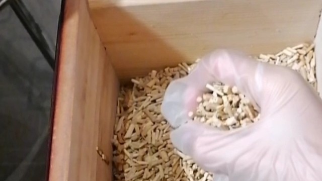 手抖？早发现早治疗早恢复