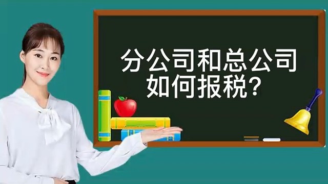 分公司和总公司如何报税?