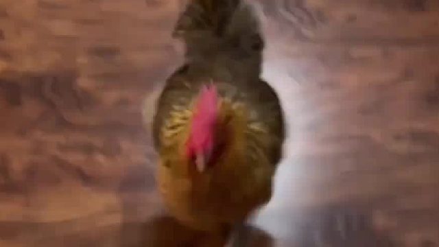 强者从不抱怨环境