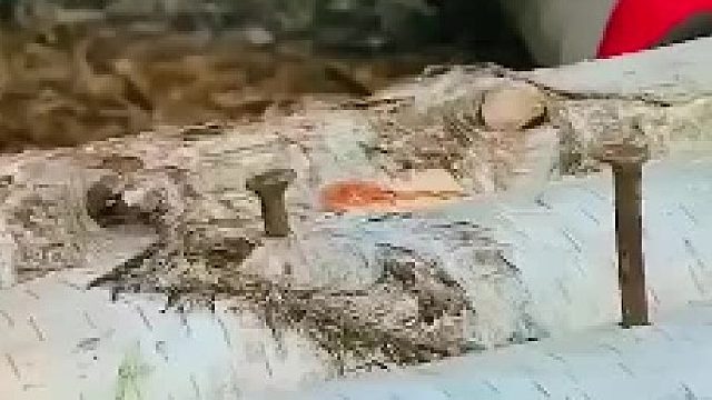 出个门我还带两斤钉子？