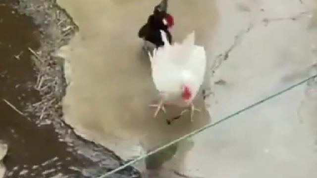 一下即ko，有点厉害