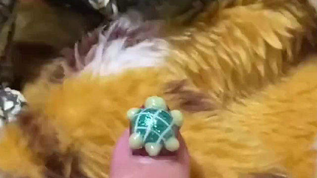 这是什么行为？