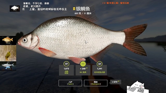 白河渔夫–星银鲷鱼，爆口死蹲4天(9月4日库存)