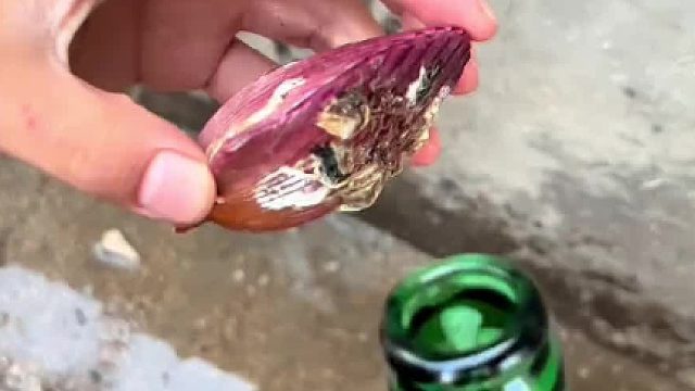 实验证明，谁喝酒都吐