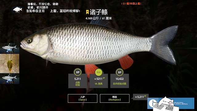 白河渔夫–星诸子条，就差雅罗了。(9月14库存)