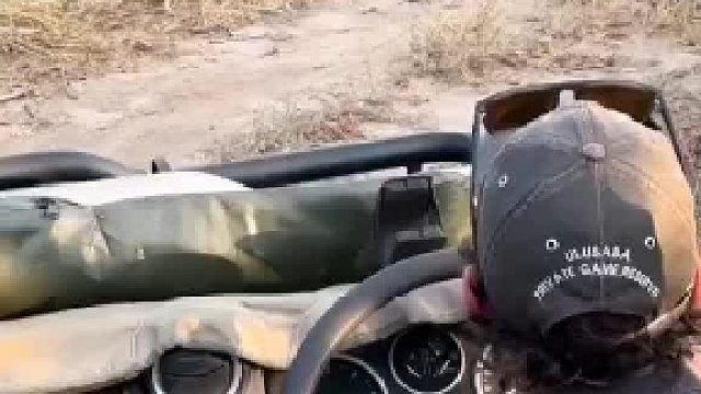 二哥又掏了啥宝贝