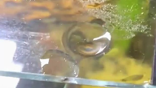 赶紧在上面立个警示牌_不要在这里往里观看