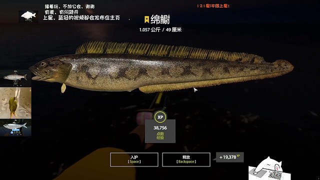 34图挪威海–星绵鳚(122星)50天终于加了一颗星，蹲了很多次，现在才蹲到，一背包的绵鳚就是不给星