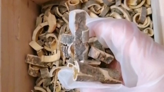 手抖？早发现早治疗早恢复