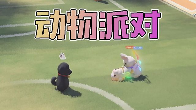 【猛兽派对】竟然在球场干这种事？