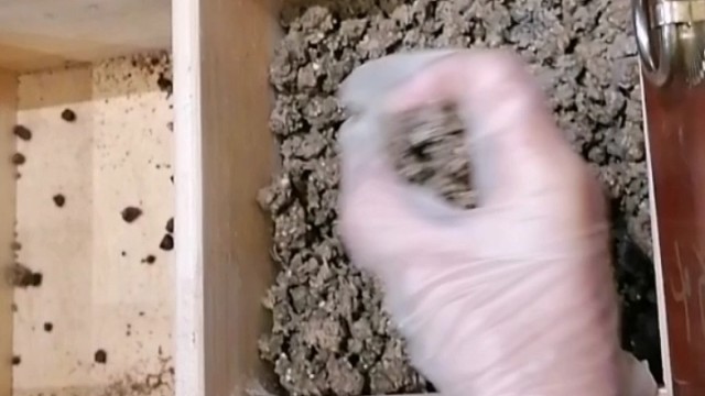 手抖？早发现早治疗早恢复