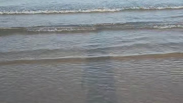 时间从来不语，却回答了所有问题