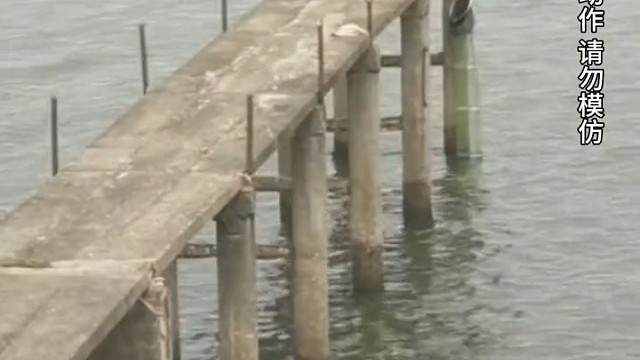 强者从不抱怨环境，“就没有钓鱼老去不了的钓点”