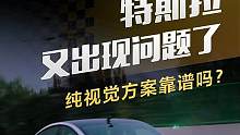 #特斯拉 又出現(xiàn)問題了，純視覺方案靠譜嗎？#導(dǎo)航輔助駕駛哪家強(qiáng)
