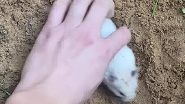 以后种地省事了