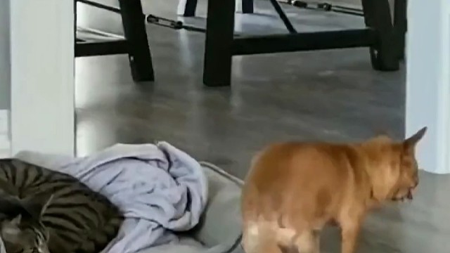 我发布了一个新视频，快来围观吧！