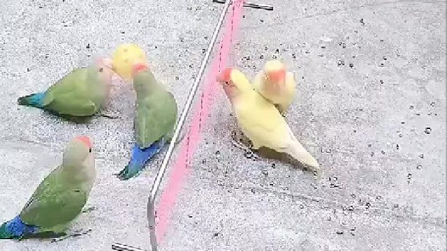 这场比赛太激烈了