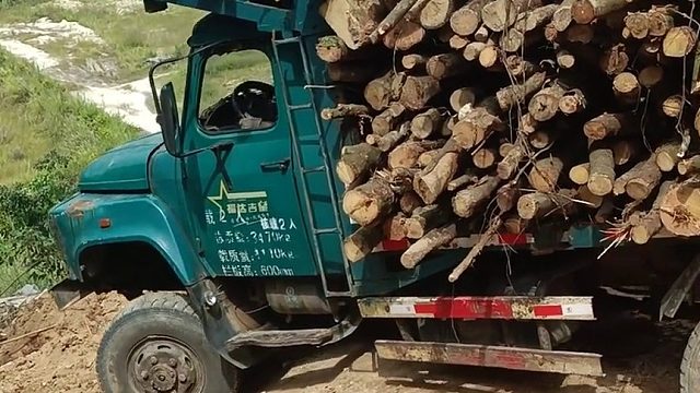 这一车木材，看似很重，实则并不轻，这车你们那叫什么