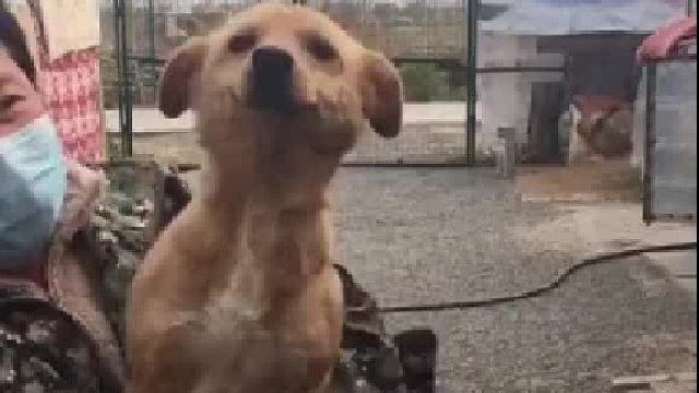 被宠爱的傲娇小眼神