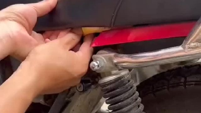 竟然徒手掏，不怕被咬吗