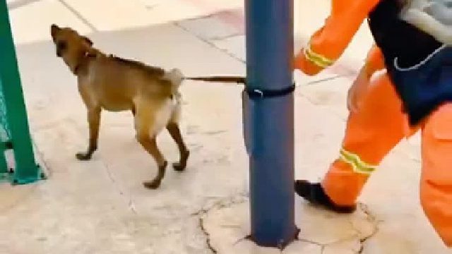 如果绳子断了，又是另外一个故事