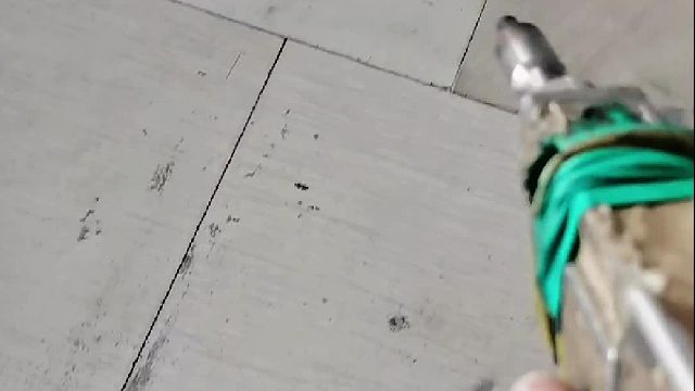 不讲武德，杀只苍蝇，激光武器都用上了