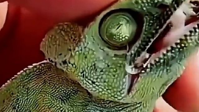 每一个生命都值得呵护