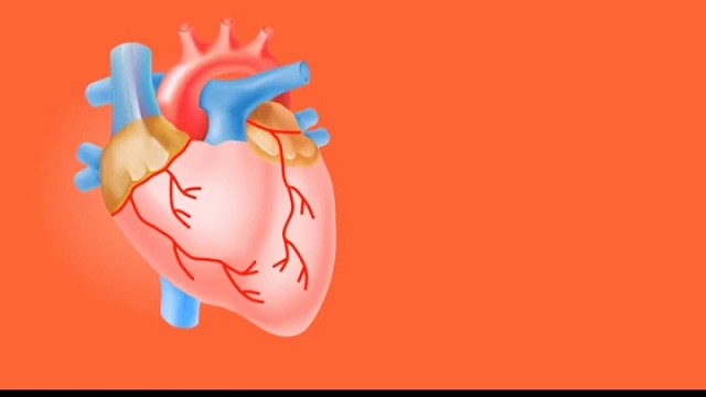 自己可以诊断病情吗？