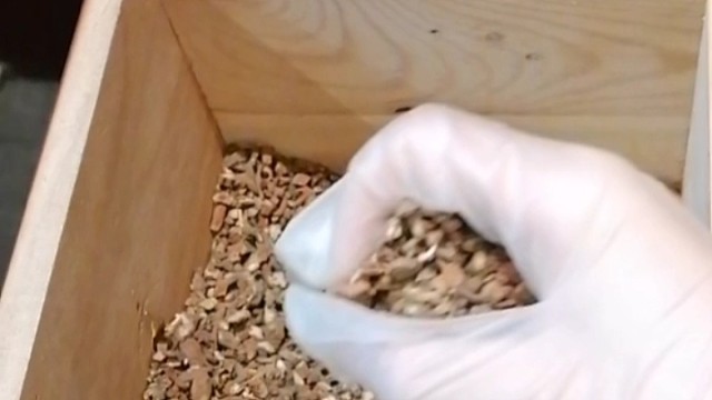 手抖？早发现早治疗早恢复